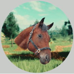 Red Oak Stables