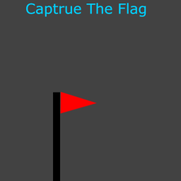 capture the flag [HARD MODE!!!]