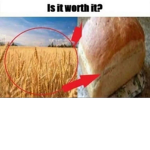 Government Noobs