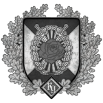 RG-Protection Service “Rulersmarshal”