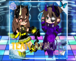 Los_Mapaches1