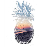 Aesthetic__Pinapple