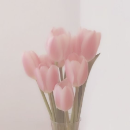ʚɞ