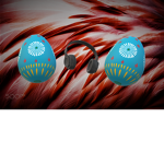 EggyDev Games