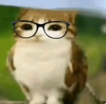 Pequeño maf