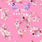 Roblox x nikki