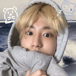 ≽^• ˕ • ྀི≼