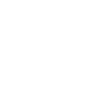 Bug Vision