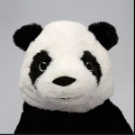 Panda Lover Studio