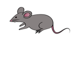 The Rat Company.
