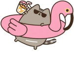 Pusheen the cat is on a vacation