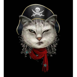 cats pirates