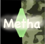 Metha army