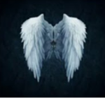 The Angels Kingdom