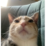 What Did You Say...