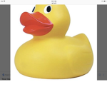 Duck fan squad