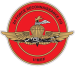 Force Company, 2nd Recon Battalion