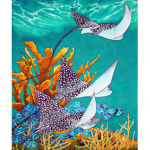 Bahamas Group's Group Thumbnail
