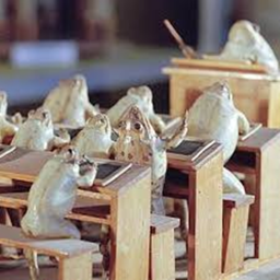 {NEW!} Cafe 🐸 Frog Museum 🏛️