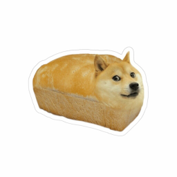 Doge Hang out