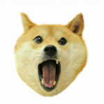 DogeyGames