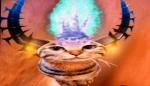 Toyota's UGC Group Thumbnail