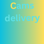 Cams Construction Co.