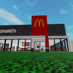The Mcdonald's Experience