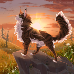 Cats (warriors)