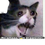 b̰̃l̰̃ṵ̃ḛ̃ c̰̃l̰̃õṵ̃d̰̃s̰̃