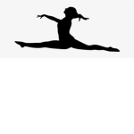Avalanche Gymnastics Team