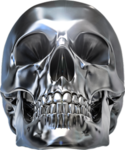 chrome skull thrift.