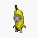 vasikrus's ugc