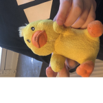 Duck team Z