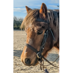 Strawberry horses