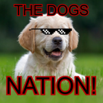 the dogs nation