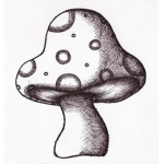 ~The Mushroom Squad!~