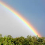 hopefulrainbows <3