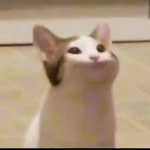 The big poggers
