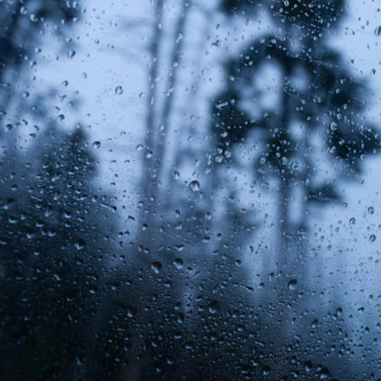 Silent Harmony Roblox music