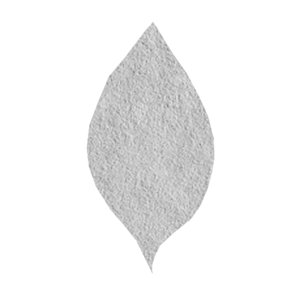 Leak asset thumbnail