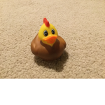Todd the chicken group