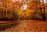 Aesthetic Fall Hangout
