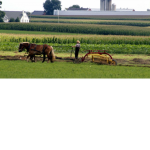 Jebediah's Farming Community