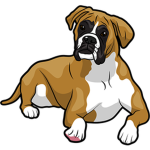 Boxer Squad (Dog)