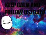 bszele07 Fan Group