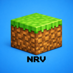 Nrv'Game