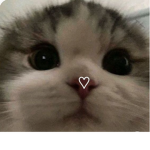 Xxlovec234