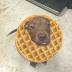 Waffle