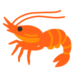 Shrimp Clothing Store